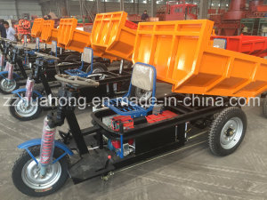 Heavy Loading Dumper/Strong Power 1000W 48V /Mini Cargo Tricycle /3 Wheel Electric Truck for Mining