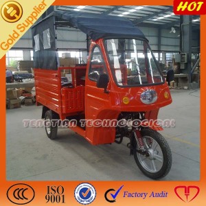 3 Wheeled Motorized Cargo Truck